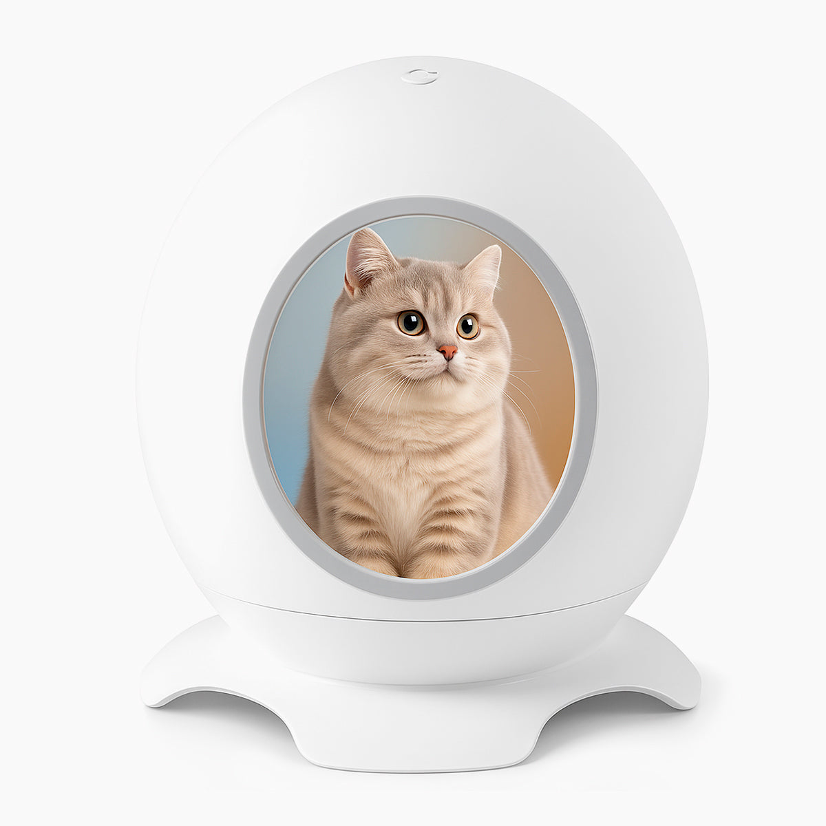 Comforta Cat