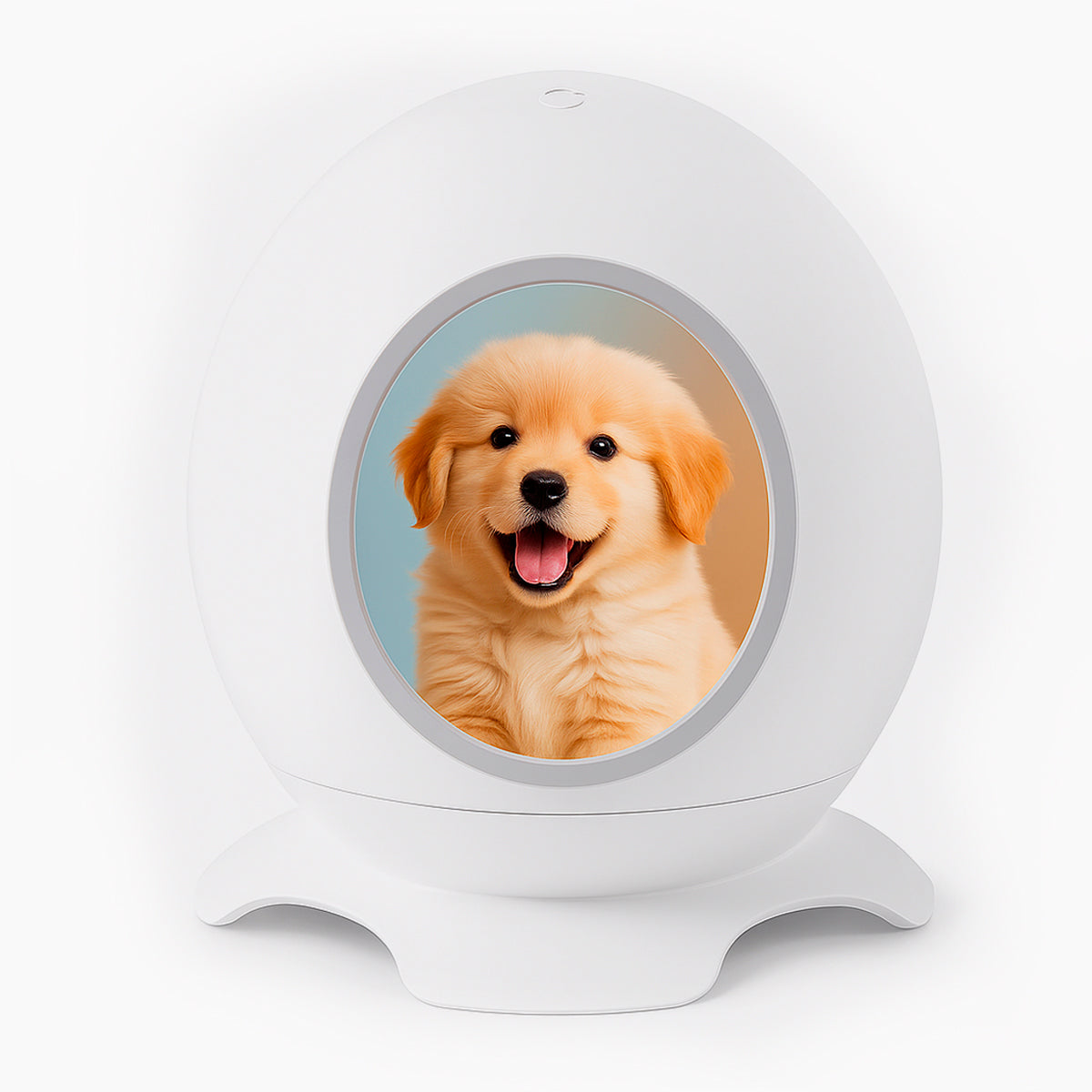 Comforta Dog